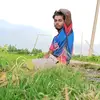 ammanik355