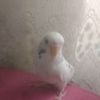 emirhan.kan1