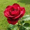 mastafa.khan10