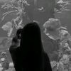 asyaa50946
