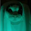 qaisarawwr0