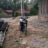 bodrexx110
