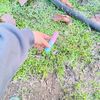 phonesmart128