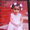 taiba8293