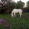 andrea.faggiani78