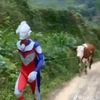 gakrohmelet