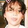 dibb_2531