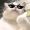 ryuzeki4
