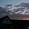 Anastasia 228