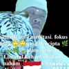 andihka484