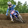 Bradleythompsonmx
