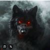 wolf_519