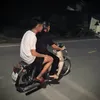 phamtinh1236