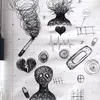 nafreyn_612
