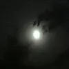 max_jc04