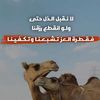 mahamad_nouri
