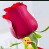 user8014494780817