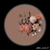 user61602241110824