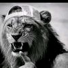 motazemad33