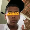 l7_silvazx