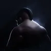 TrunkZ_Cr