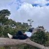 _mrniiii
