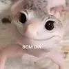 wqgiiu
