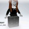 korr498
