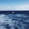 unl63.4