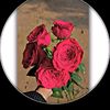 arisha.islam4062
