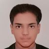 hassassigfs