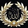 rizvi.islam08