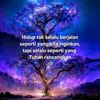 user7048271394933