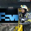 PT FREEPORT INDONESIA🇲🇨