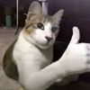gurtgamer12