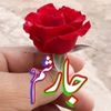 aminullah.masood1