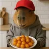 capybarajoe16