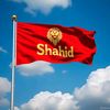 shahid.afridy010