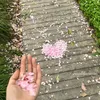 anh.xin.loi620
