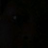 wazz_003