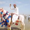 javed.samejo79