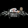 spinxz46