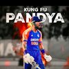 cricketvloger