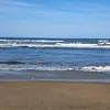 mr678307