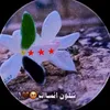 user1183128006332