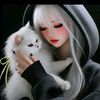 user8237434335505
