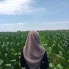 sy.fie17