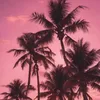 sofiariccio_013