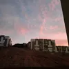 maikel_edits7