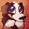 saintbernardx